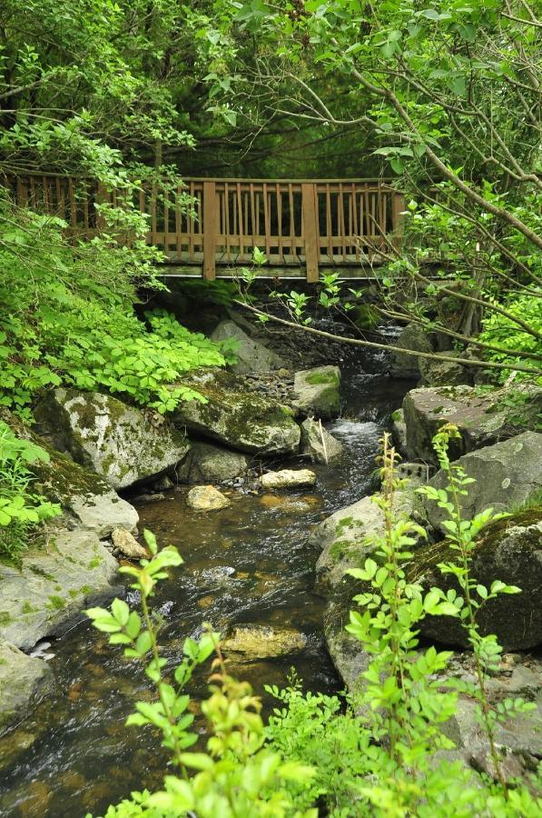 Stay Berkshires Williamstown Luaran gambar